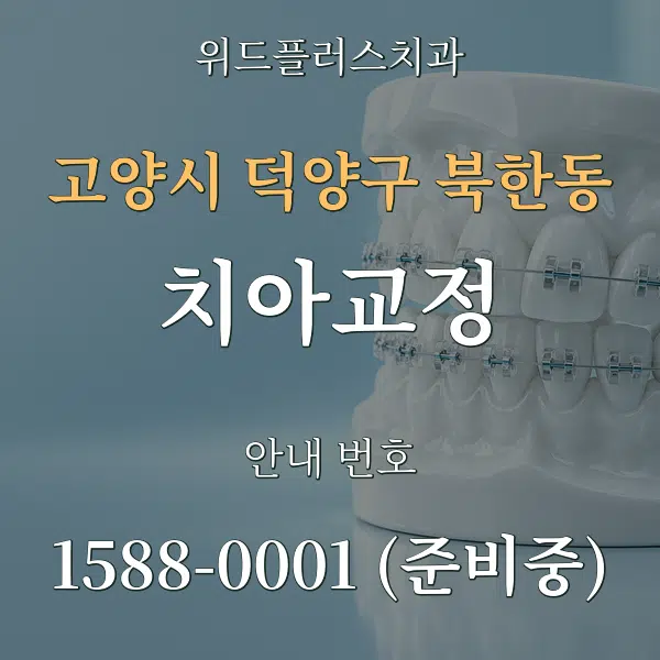 고양시 덕양구 북한동 치아교정 대표 안내 그래픽