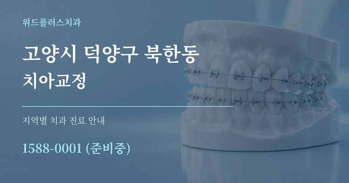 고양시 덕양구 북한동 치아교정 대표 안내 그래픽